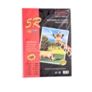 5R Photo Paper
