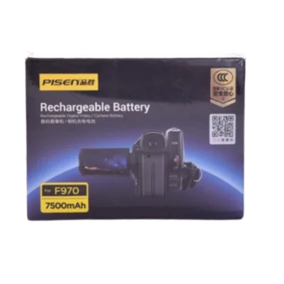 Pisen Batterie and Charger