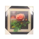 Photo Frame
