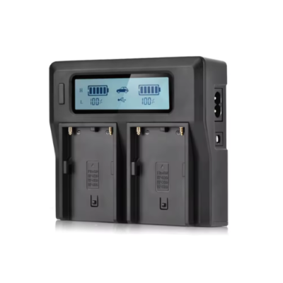 LCD Dual Fast Battery Charger