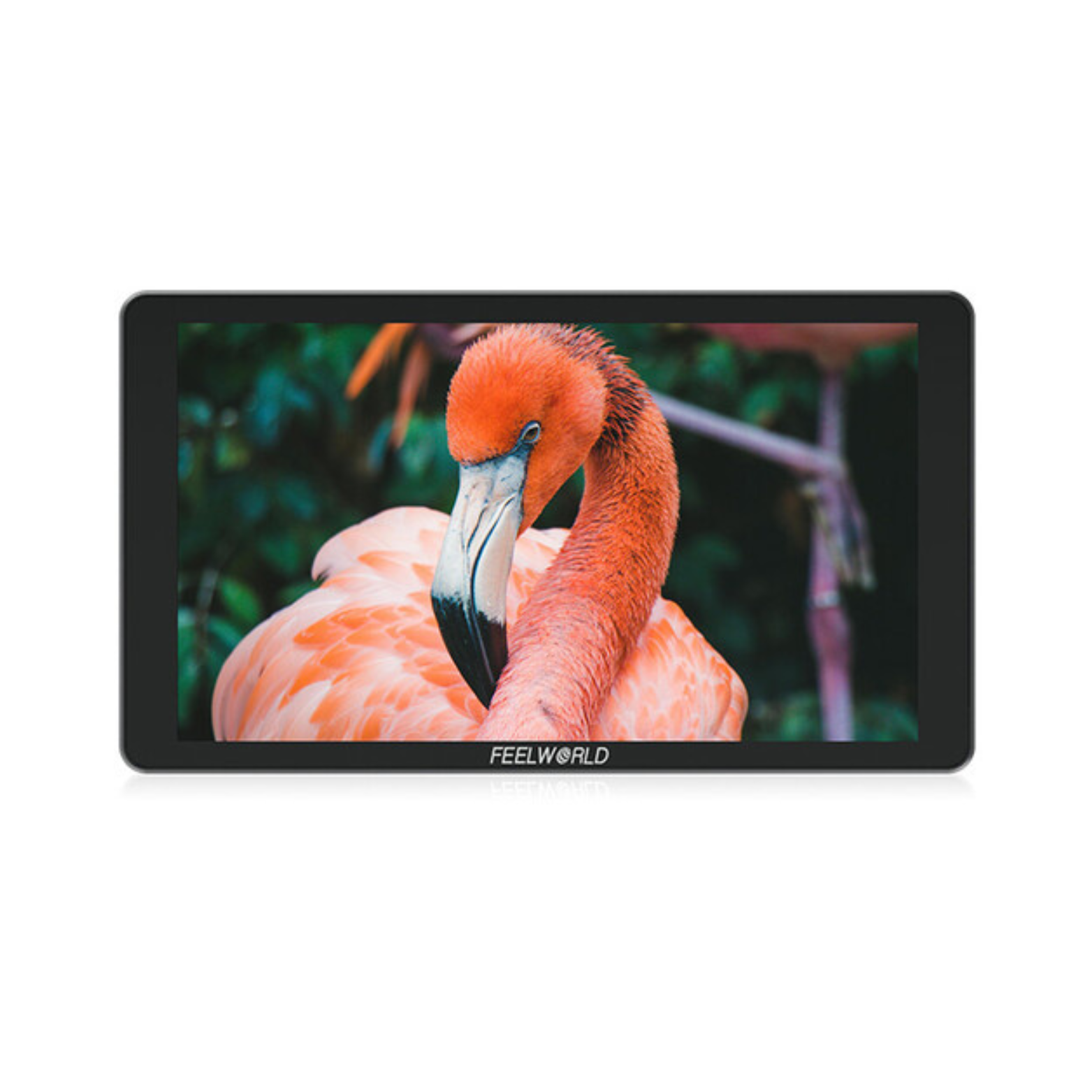 FeelWorld P6XL 6" On-Camera Field Monitor with Built-In Battery