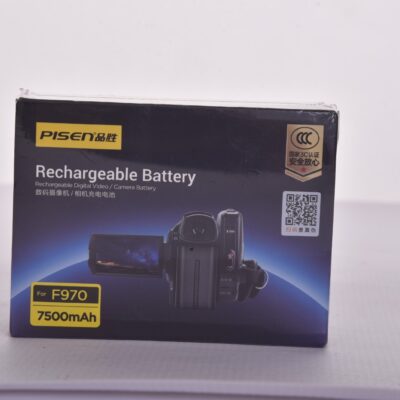 Pisen Batterie and Charger