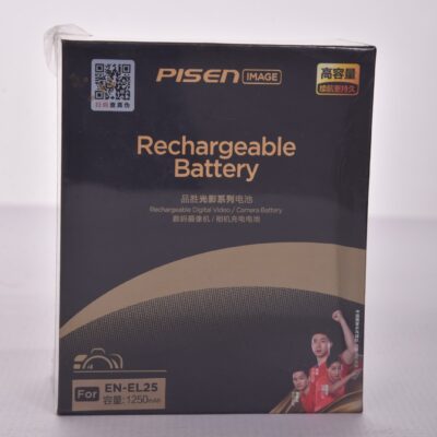 Pisen Batterie and Charger